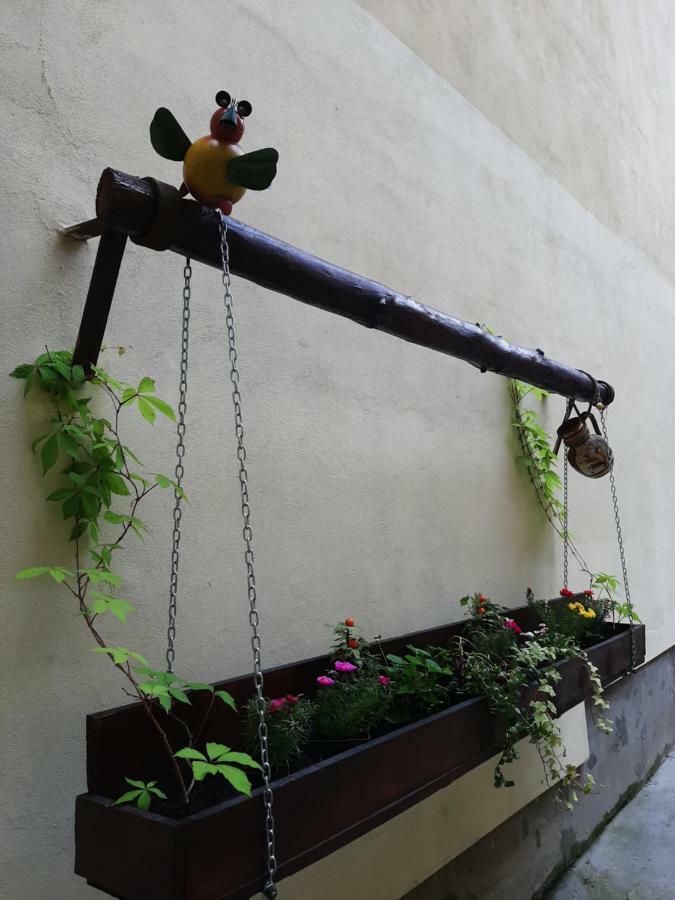 Ferienwohnung Luky10 Brașov Exterior foto